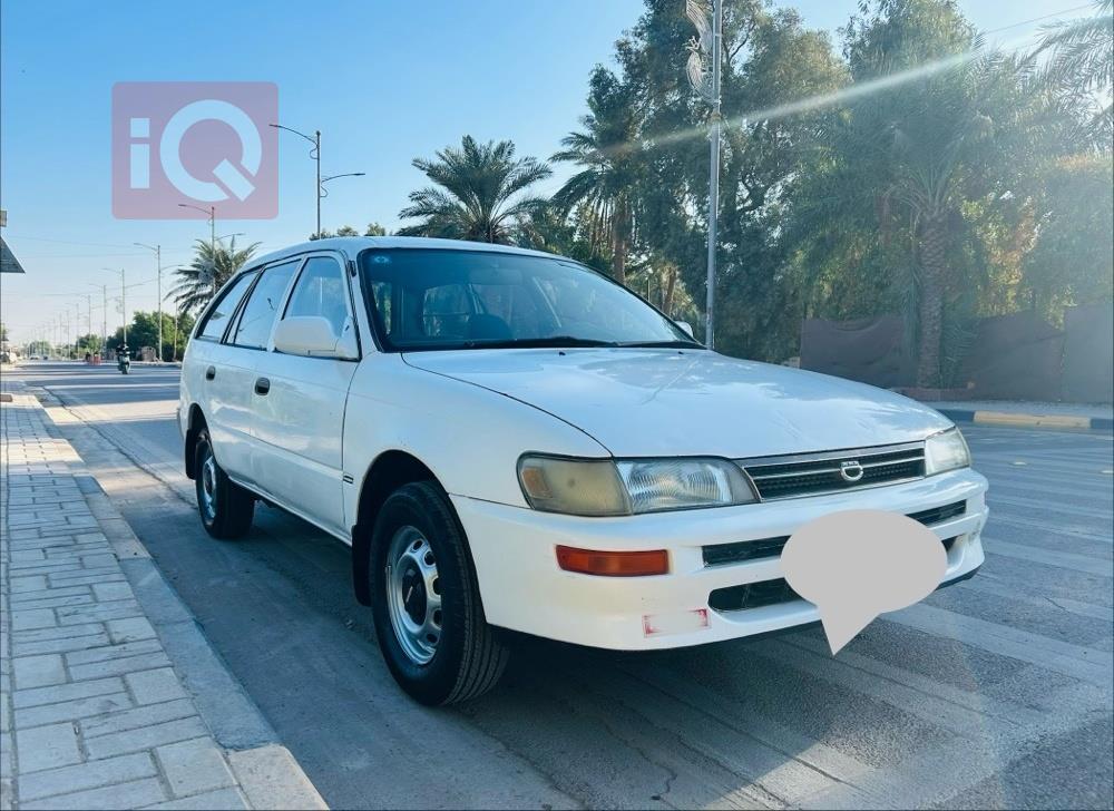 تويوتا كورولا